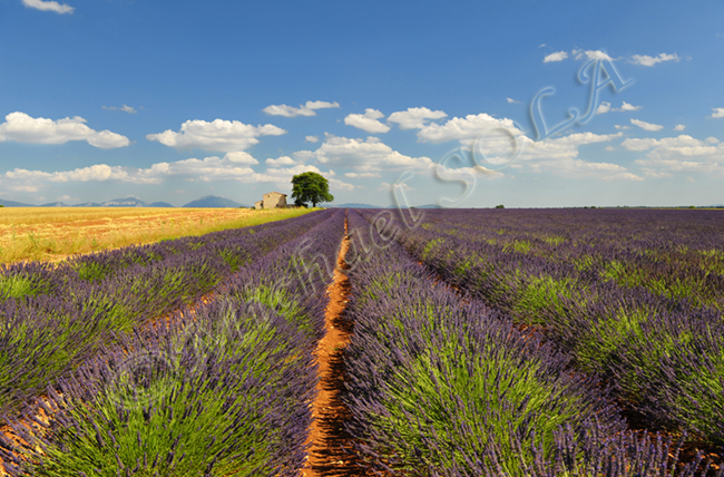 © Smike Photography by Michael Sola - All Rights Reserved